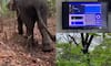 AI camera to detect the path of wild animals