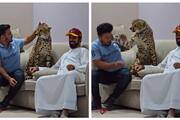 video of a man trying to touch pet cheetah but it slap his face went viral 