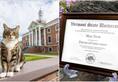 Dr Litter-ature: Adorable campus cat receives honorary degree from Vermont State University RTM