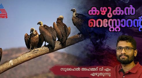 Vulture restaurants to rearrange forest ecosystem 