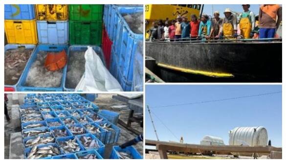 four expats arrested for illegal fishing in oman 
