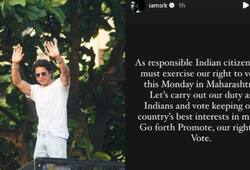 Lok Sabha Elections 2024: Shah Rukh Khan urges citizens to exercise voting right in Maharashtra Elections NTI