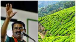 tamil nadu government should undertake manjolai tea estate in tirunelveli said seeman vel