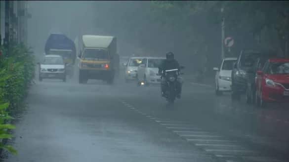 Kerala witnesses heavy rainfall; IMD issues red alert for 4 districts on May 20 2024; Check anr