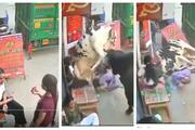 CCTV footage of cows rammed into girls goes viral