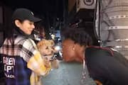 dog bites YouTuber IShowSpeed video went viral