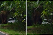 wild elephant rushed towards the car of tourists who came to Athirappilly region 