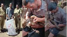 forest department booked a case against the drunk man who was playing with Python in Pathanamthitta