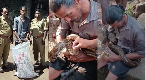 forest department booked a case against the drunk man who was playing with Python in Pathanamthitta