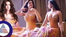 Bollywood Hot Beauty Disha Patani Raises the Heat in Breathtaking Corset Gown gvd