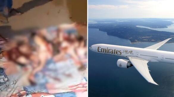 40 flamingos killed after Emirates flight hits flock near Mumbai airport; disturbing videos surface (WATCH) snt