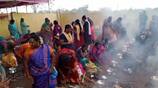 Ariyalur Puja of people of Vishwakarma community held for centuries with 52 Kitas and more than 100 roosters-rag