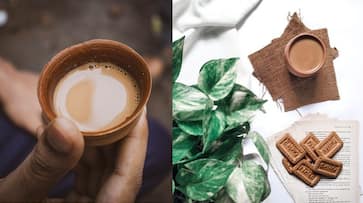 6 reasons why your chai does not taste great iwh