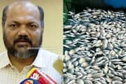 Mass fish kill in Periyar River due to chemical pollution Special authority for rivers under consideration, further action according to scientific report, minister says p rajeev