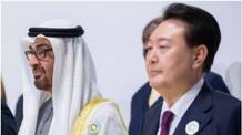 UAE president Sheikh Mohamed  travelling to south Korea on May 28