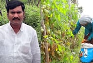 When a Telangana farmer became a crorepati overnight by selling tomatoes B Mahipal Reddy iwh