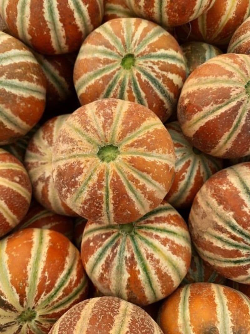 Weight loss to healthy skin 7 Health benefits of eating muskmelon