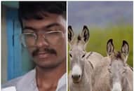Man quit govt job to sell donkey milk; earns Rs 3 lakh per month RTM 