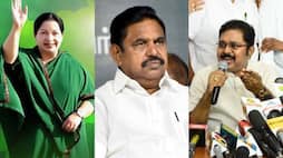 ttv dhinakaran slams aiadmk edappadi palaniswami and dmk at pm modi, jayalalitha controversy issue-rag