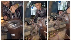 cobra catcher rescues a cobra that was hiding inside a scooter in Indore 