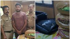 travel in Tourist bus from Odisha to Kerala via Bengaluru cannabis seized 