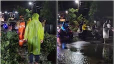 Heavy rain 6 youth trapped in kadappara mangalam dam palakkad