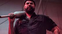 Mammootty starrer Turbo Sunday collection report out hrk