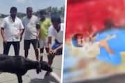 SHOCKING! DMK workers behead goat with BJP leader Annamalai's photo; disturbing video surfaces (WATCH) vkp