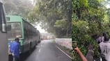 Heay rain near coonoor giant tree fell on road makes traffic jam in mettupalayam coonoor road ans