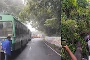 Heay rain near coonoor giant tree fell on road makes traffic jam in mettupalayam coonoor road ans