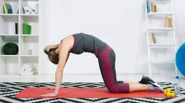 Cat Cow Pose Benefits for women international yoga day 2024 xbw