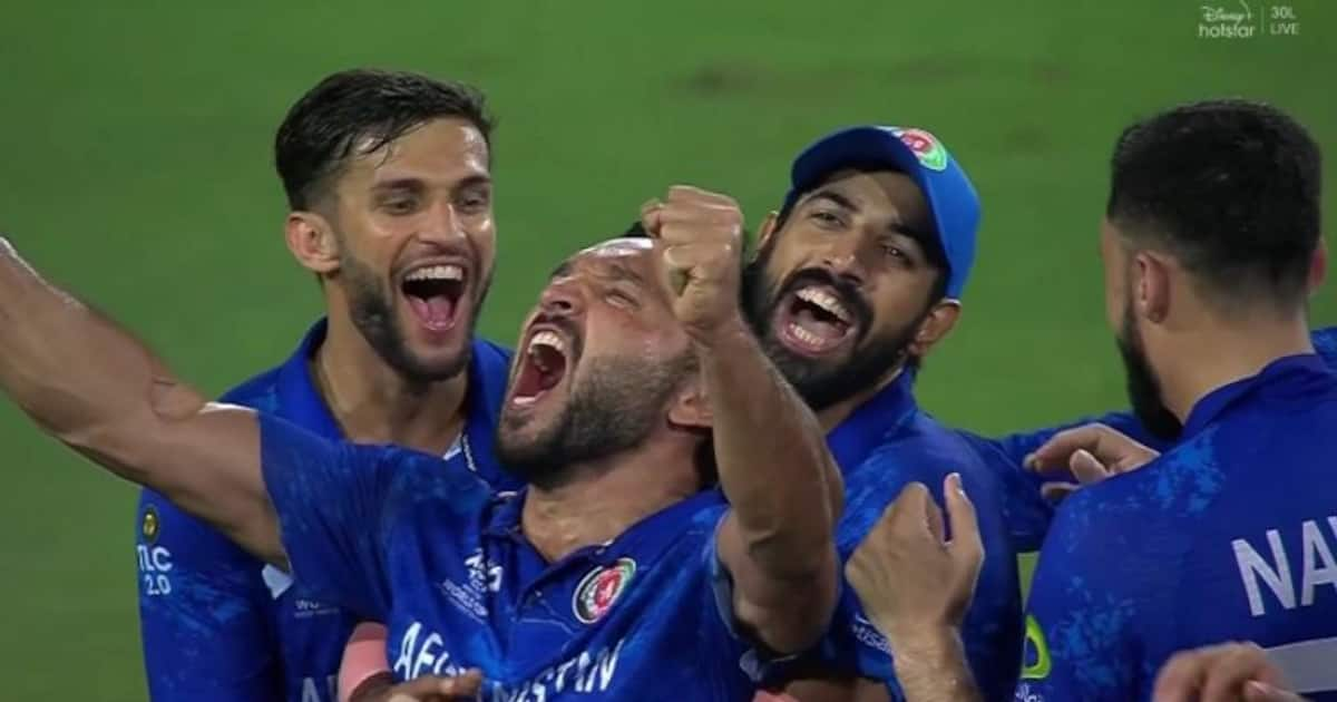 T20 World Cup 2024: Meme fest explodes as Afghanistan shock Australia ...