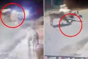 Chhattisgarh Man deliberately crushes cow calf with car in Bilaspur; disturbing video goes viral (WATCH) AJR