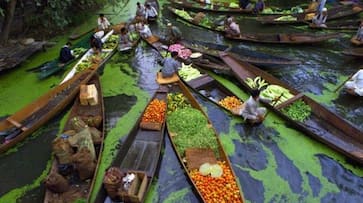 Kashmir dal lake floating vegetable market zkamn