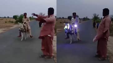 WATCH: Boy Riding Donkey with Fairy Lights Amuses Internet NTI
