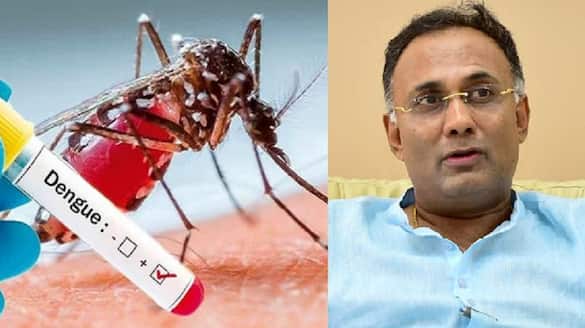 Karnataka government sets price for Dengue tests curbs overcharging by private hospitals vkp