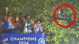 Outburst erupts as fan spotted on tree close to Team India's T20 WC victory parade open bus in Mumbai (WATCH) snt