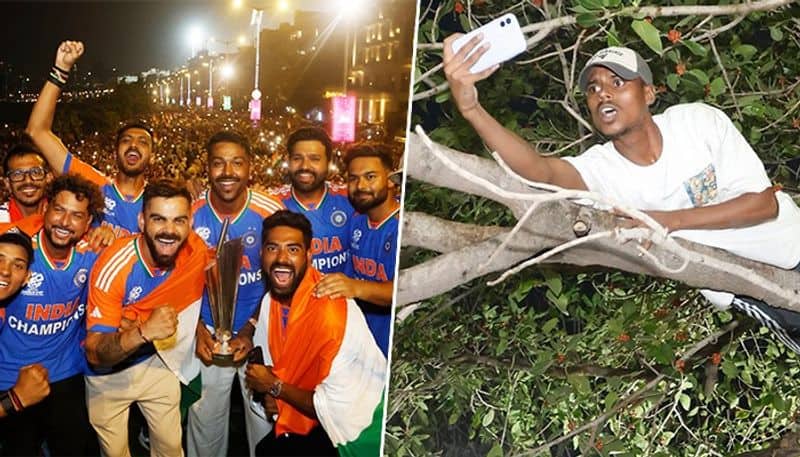 'Wanted to see Virat Kohli more closely': Fan who climbed tree during T20 WC victory parade speaks up (WATCH)