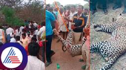 kamdal villagers killed leopard in front of the forest officials raichur district rav