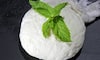 Turning Sour Milk into Homemade Paneer: Step-by-Step Guide NTI 