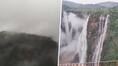 World famous hotspot Jog Falls in Shivamogga attracts tourists during monsoon vkp