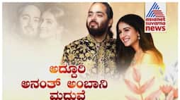 south stars are in Anant Ambani Radhika Merchant marriage nbn