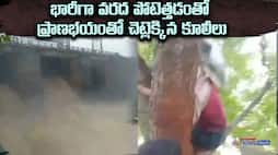 telangana bhadradri district  flood videos