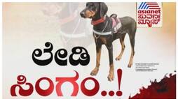 Tunga 2 police dog find murder suspect in davangere nbn