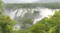 tourists rush to visited to bharachukki falls in chamarajanagara grg 