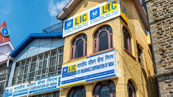 LIC share at record high m-cap hits Rs 7.56 trn post 39% rally in CY24