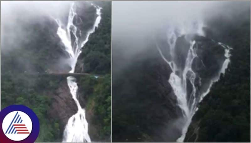 Goa govt imposes temporary ban on visiting world-famous Dudhsagar waterfalls citing safety concerns