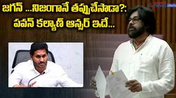 AP Deputy CM Pawankalyan Full Speech in Assembly