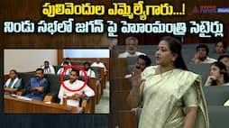 AP Home Minister Vangalapudi Anitha Speech in Assembly