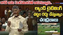 AP CM Chandrababu Naidu Speech in Assembly